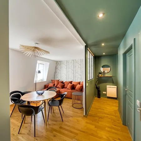 Appartement Le Verdoyant Hyper Centre Avec Sauna Et Parking Colmar Exterior photo