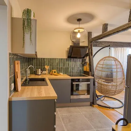 Appartement Le Verdoyant Hyper Centre Avec Sauna Et Parking Colmar Exterior photo