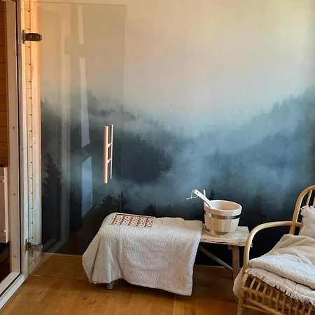 Appartement Le Verdoyant Hyper Centre Avec Sauna Et Parking Colmar Exterior photo