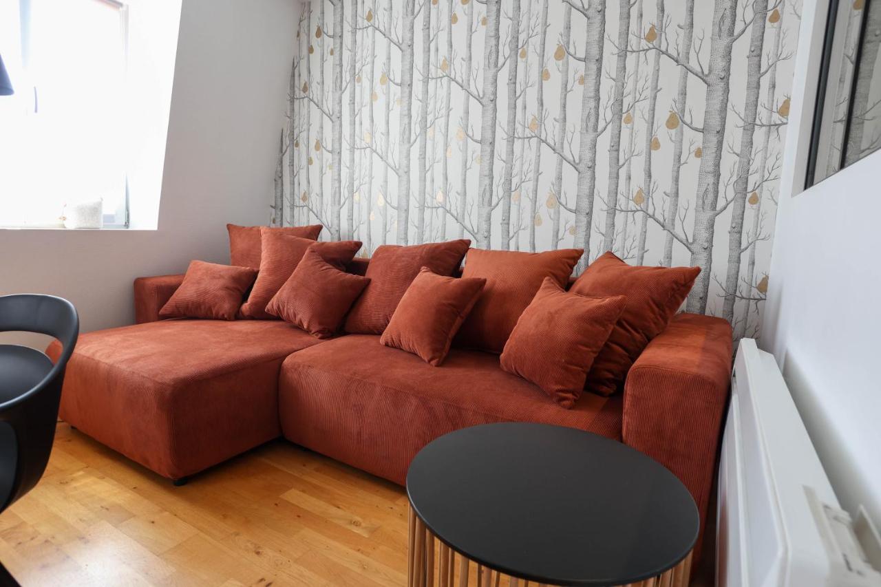 Apartment Le Verdoyant Hyper Centre Avec Sauna Et Parking Colmar