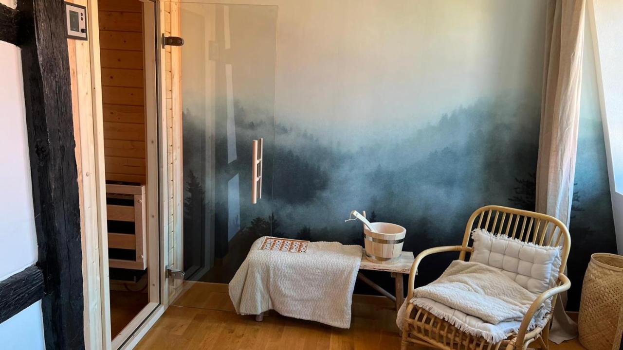 Apartment Le Verdoyant Hyper Centre Avec Sauna Et Parking Colmar